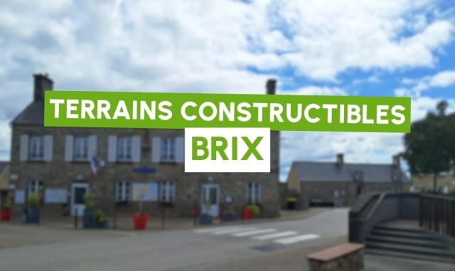 terrain-brix__